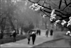 Passeggio Passeggio