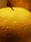 apple apple