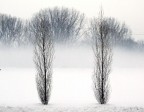 NEVE E NEBBIA NEVE E NEBBIA