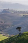 Terre Toscane - Volterra Terre Toscane - Volterra
