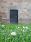 Primavera e antico Primavera e antico
