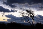 TRAMONTO TRAMONTO