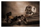 Vanitas