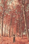 Red Red