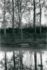 Riflesso bianco e nero Riflesso bianco e nero