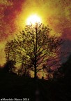 Red Atomic Tree @ZioMauri29 Red Atomic Tree @ZioMauri29