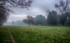 PARCO DELLE CASCINE - FI PARCO DELLE CASCINE - FI
