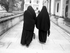 Il passeggino Il passeggino