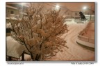 fermarsi ad ammirare una bella nevicata fermarsi ad ammirare una bella nevicata