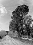 Parco di Bunnari* Parco di Bunnari*