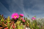 colors... colors...