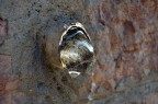 Bolla di ghiaccio Bolla di ghiaccio