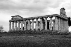 Paestum Tour
