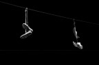 Volando Volando