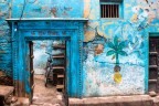Colori Colori