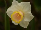 macro macro
