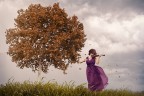 La ragazza dal violino La ragazza dal violino