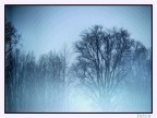 nebbia