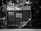 Al mattino Al mattino