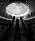 L'occhio del consumismo L'occhio del consumismo