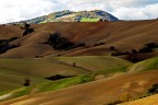 Terra di Marca Terra di Marca