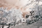 Fantasy