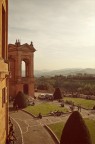 Bologna Bologna