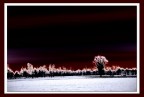 Rosso porpora Rosso porpora