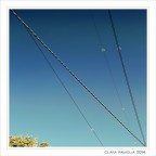 Riccioli.... nel quadrato.