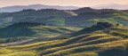 Pennellate di verde - Pienza