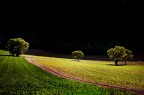 Luci ed ombre... Luci ed ombre...