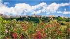Recanati (MC) Recanati (MC)