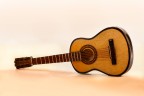 The guitar The guitar