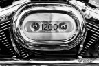 fascino harley fascino harley