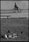 La femme c'est mobile... La femme c'est mobile...
