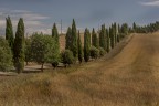 ancora le crete ancora le crete