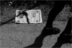 Ultime notizie...del giorno prima