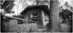 Into the Wild ;/) pinhole Into the Wild ;/) pinhole