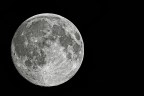 Moon Moon