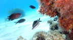 Sardegna 01