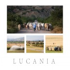 Lucania