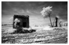 White Lands 3 White Lands 3