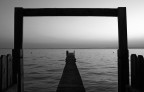 Contest 80 - Paesaggio minimalista in bn Contest 80 - Paesaggio minimalista in bn