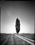 strade bianche ;/) pinhole