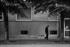 Nella Via Nella Via