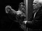 The old breeder. The old breeder.