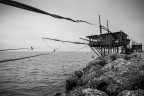 trabucco B/N trabucco B/N