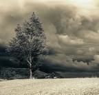 Grazie a tutti e un saluto.
Enzo