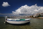 la barca la barca