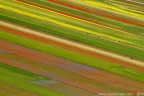 Colors... Colors...